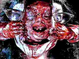 salvin_head.jpg