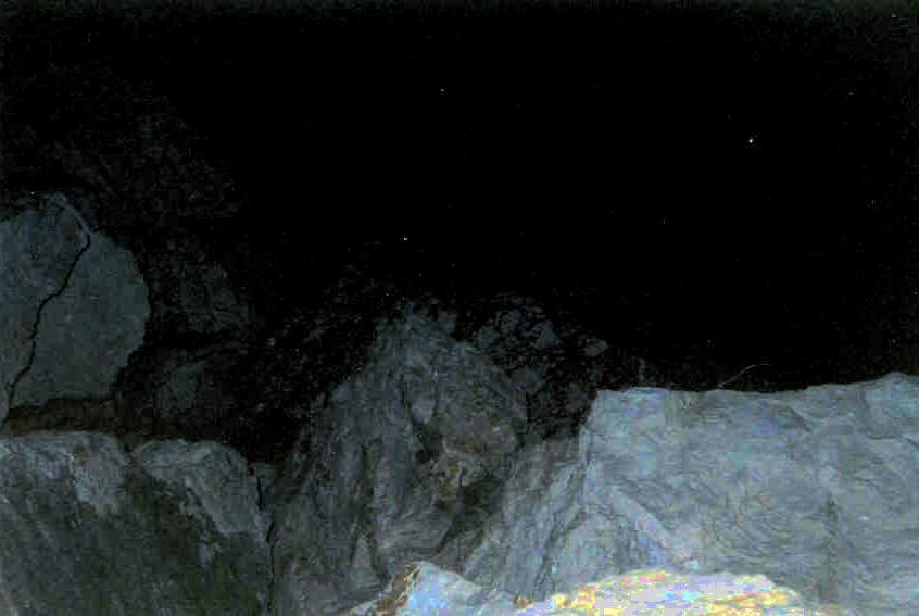 saurierkopf.jpg