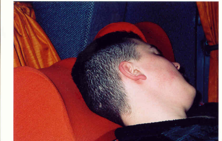 sleepingzilli.jpg